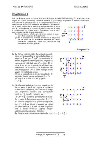 Campo-magnetico-ejercicios-.pdf
