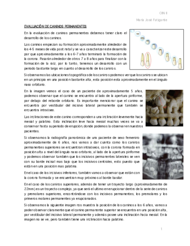 17.pdf