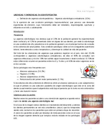 11.pdf