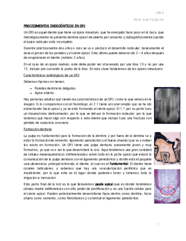 10.pdf