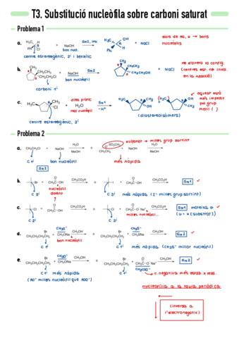 P3-Substitucio-nucleofila-sobre-carboni-saturat.pdf