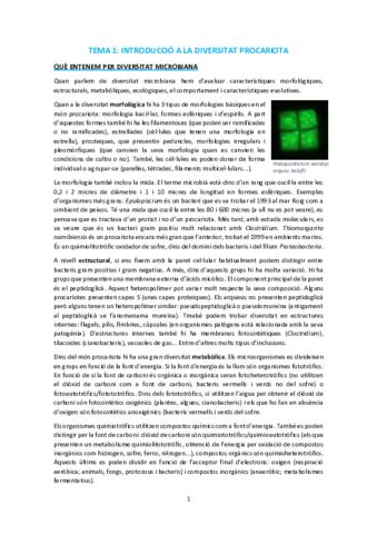 TEMA-1.pdf