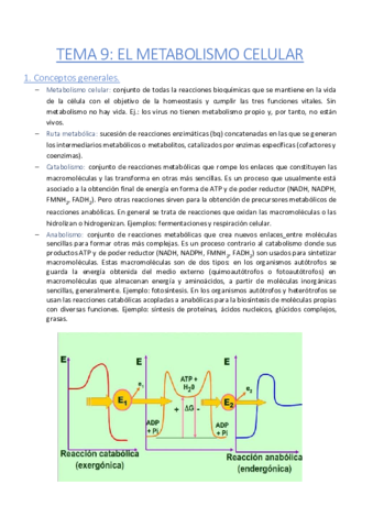 Tema-9-Metabolismo-celular.pdf