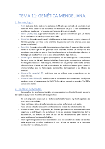 Tema-11-Genetica-mendeliana.pdf