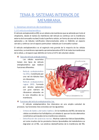 Tema-8-Sistemas-internos-de-membrana.pdf
