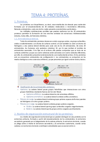Tema-4-Proteinas.pdf