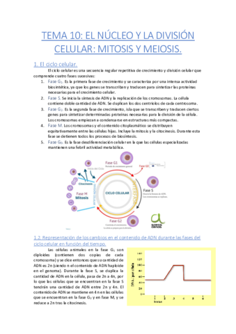 TEMA-10-Biologia.pdf