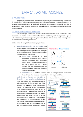 Tema-14-Mutaciones.pdf