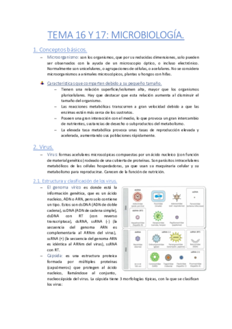 TEMA-16-Y-17-Microbiolgia.pdf