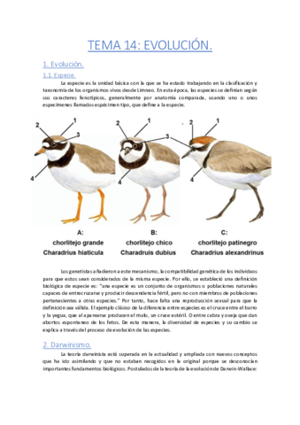 Tema-14-Evolucion.pdf