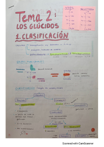 T2-Glucidos.pdf