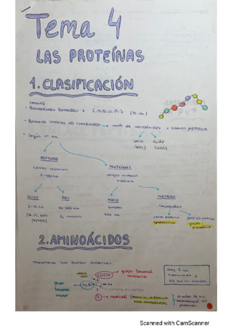 T4-Proteinas.pdf