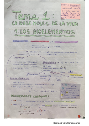 T1-La-base-molecular-de-la-vida.pdf