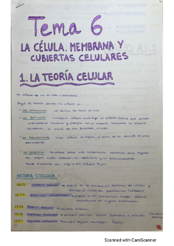 T6-Membrana-y-cubiertas-celulares.pdf