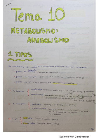 T10-Anabolismo.pdf