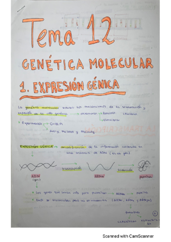 T12-Genetica-molecular.pdf