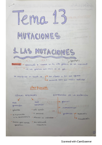 T13-Mutaciones.pdf