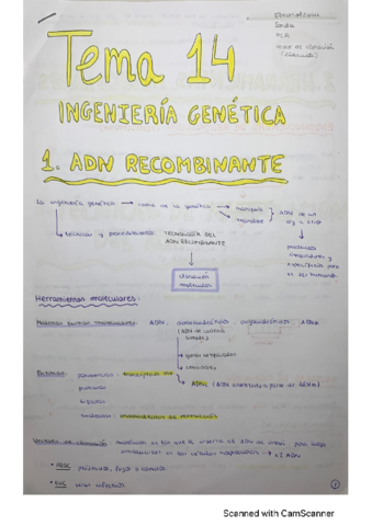 T14-Ingenieria-genetica.pdf