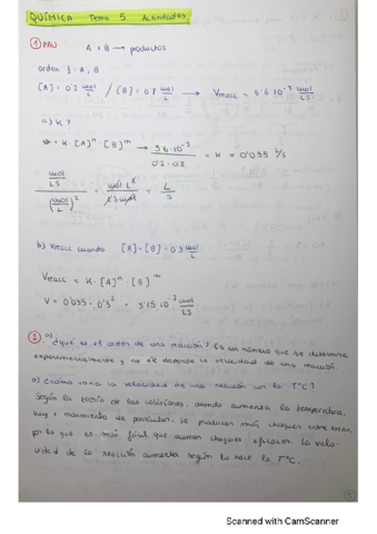 ACTS-cinetica-quimica.pdf