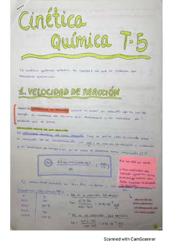 T5-Cinetica-quimica-TEORIA.pdf