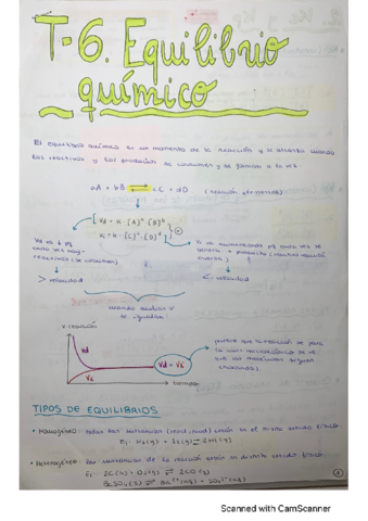 T6-Equilibrio-quimico-TEORIA.pdf
