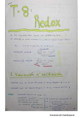 T8-Redox-TEORIA.pdf