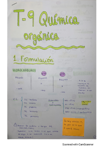 T9-Quimica-organica-TEORIA.pdf