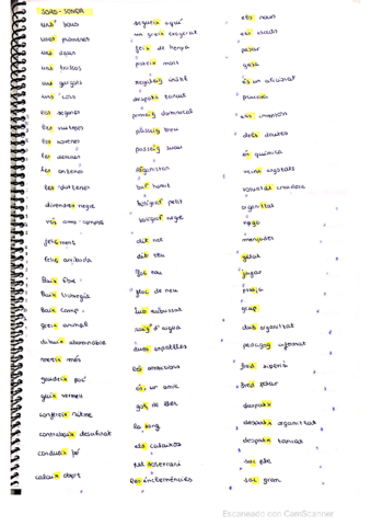 sorda-sonora-oberta-tancada.pdf
