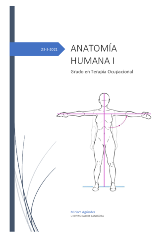 APUNTES-ANATOMIA-2o-PARCIAL.pdf
