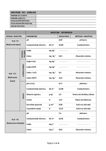 Informe-Suelo-contaminado-.pdf