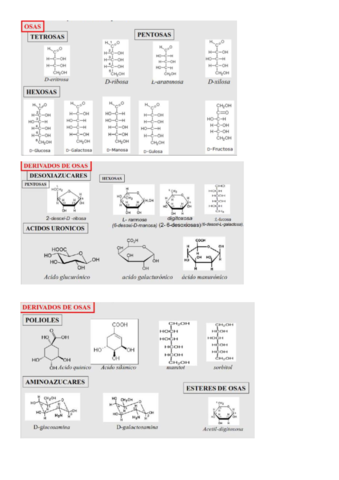 ESTRUCTURAS-FARMACOGNOSIA-parcial-1.pdf