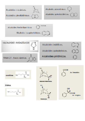 estructuras-2o-parcial-farmacog.pdf