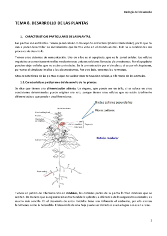Tema-8.pdf