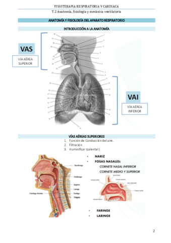 T2-Anato-fisiologia-mecanica-ventilatoria.pdf