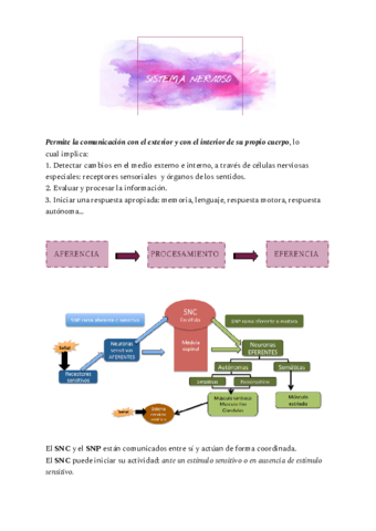 Sistema-Nervioso.pdf