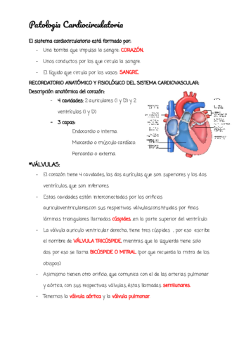 Cardiologia.pdf