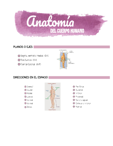 Planos-y-ejes.pdf