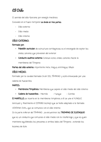 SENTIDOS-FINAL.pdf