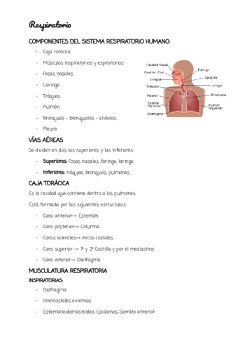 RESPIRATORIO-FINAL.pdf
