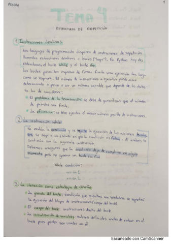 Progra-Tema-4.pdf