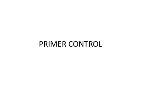 PRIMER CONTROL - Ejemplo de enunciado.pdf