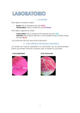 APUNTES LABORATORIO.pdf