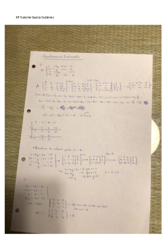 CUESTIONARIO-EVALUABLE-MATES.pdf