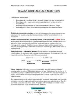 Apuntes T6A.pdf