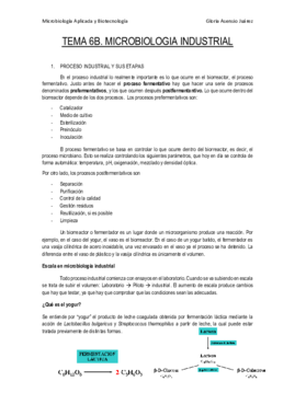 Apuntes T6B.pdf