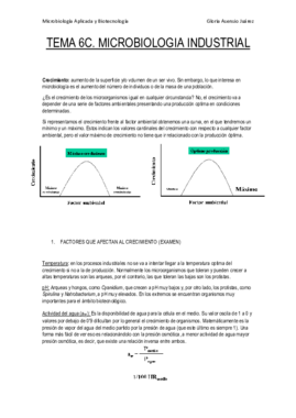 Apuntes T6C.pdf