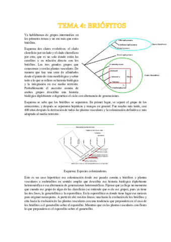 Tema-4-Briofitos.pdf