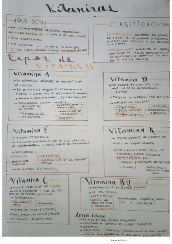 vitaminas.pdf