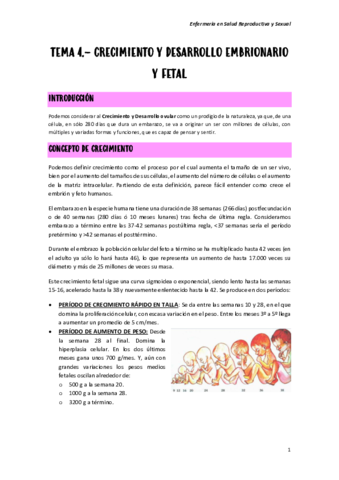 TEMA-4.pdf