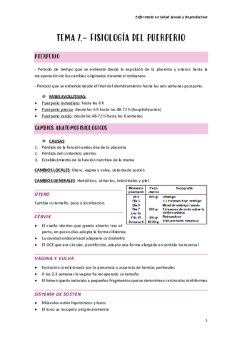 TEMA-7.pdf
